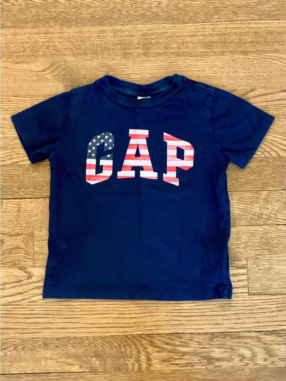 Baby Gap Boys Size 2T Bundle Swim Trunks & Short Sleeve T-Shirts Patriotic USA